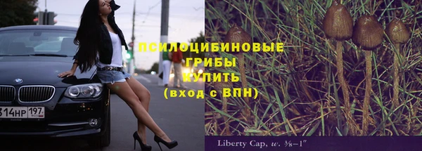 ПСИЛОЦИБИНОВЫЕ ГРИБЫ Арсеньев