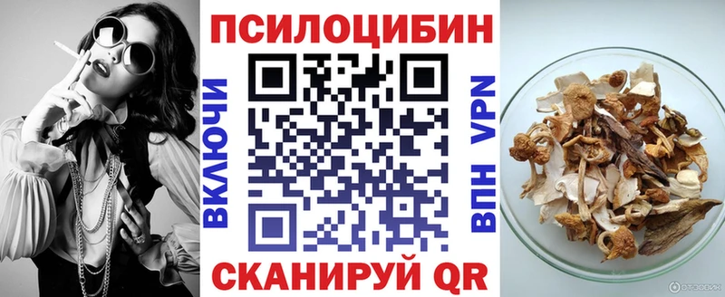 купить наркотик  Суджа  Псилоцибиновые грибы мухоморы 