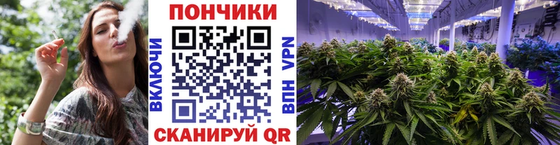Конопля конопля  как найти наркотики  Суджа 